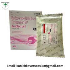 Budesonide Repsules (Generic for Pulmicort) Budesonide Repsules (Generic for Pulmicort)