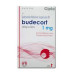 Budesonide Repsules (Generic for Pulmicort) Budesonide Repsules (Generic for Pulmicort)